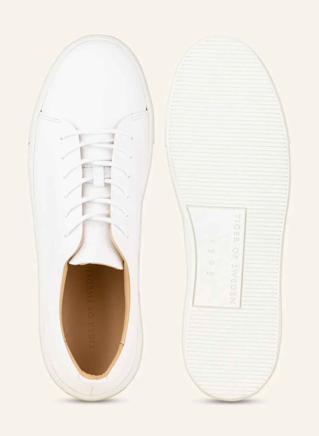 Sneaker SAMPE