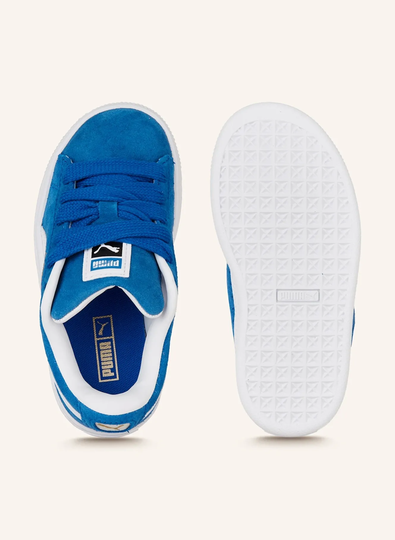 Sneaker SUEDE XL