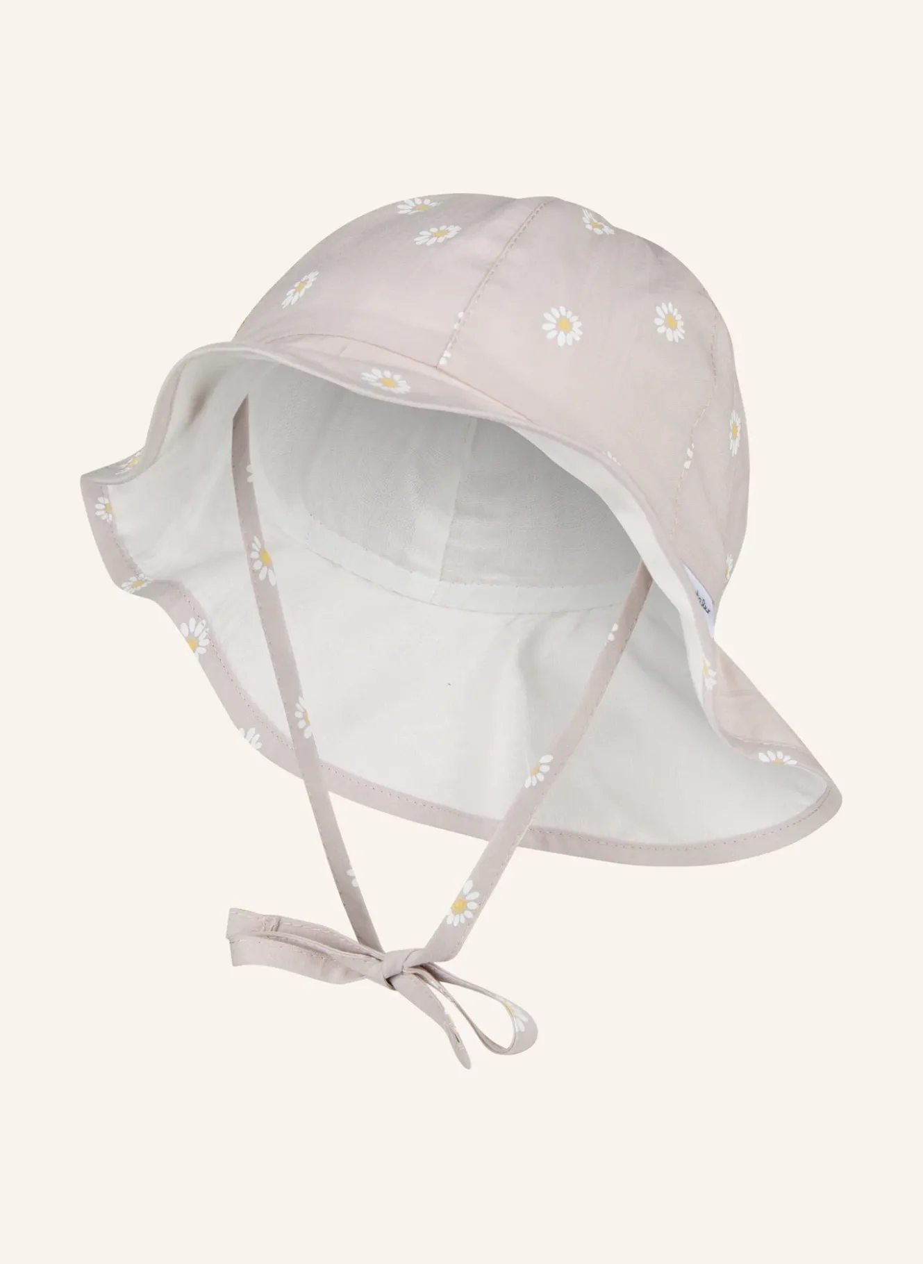 Sonnenhut Gänseblümchen