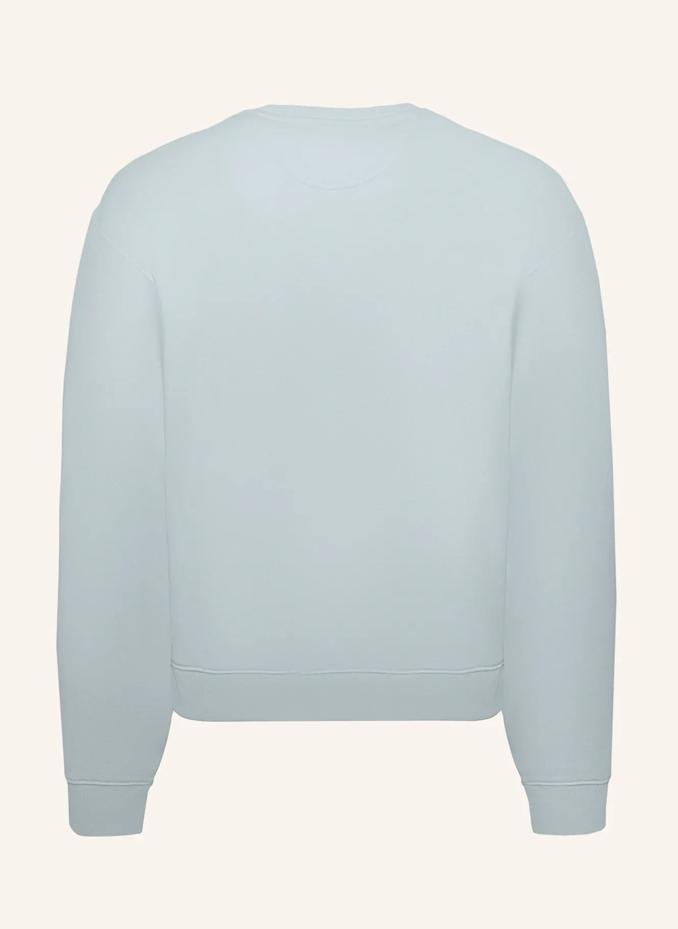 Sweater ROBERT ICE