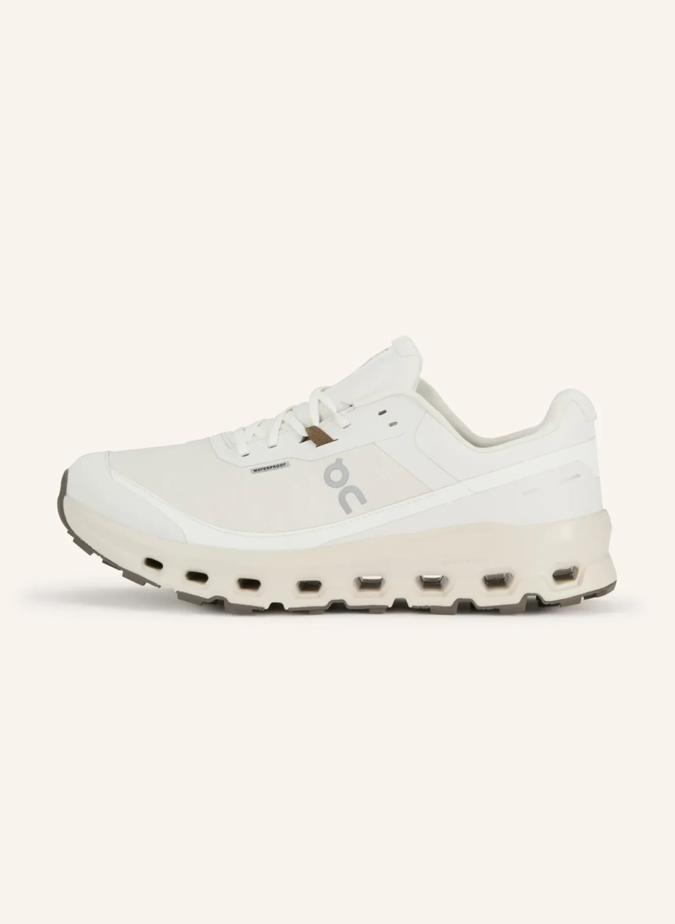 Trailrunning-Schuhe CLOUDVISTA 2 WATERPROOF