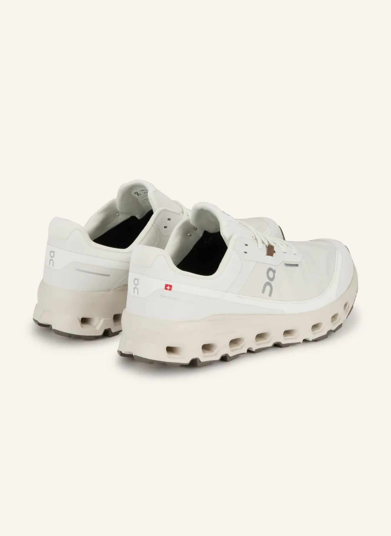 Trailrunning-Schuhe CLOUDVISTA 2 WATERPROOF