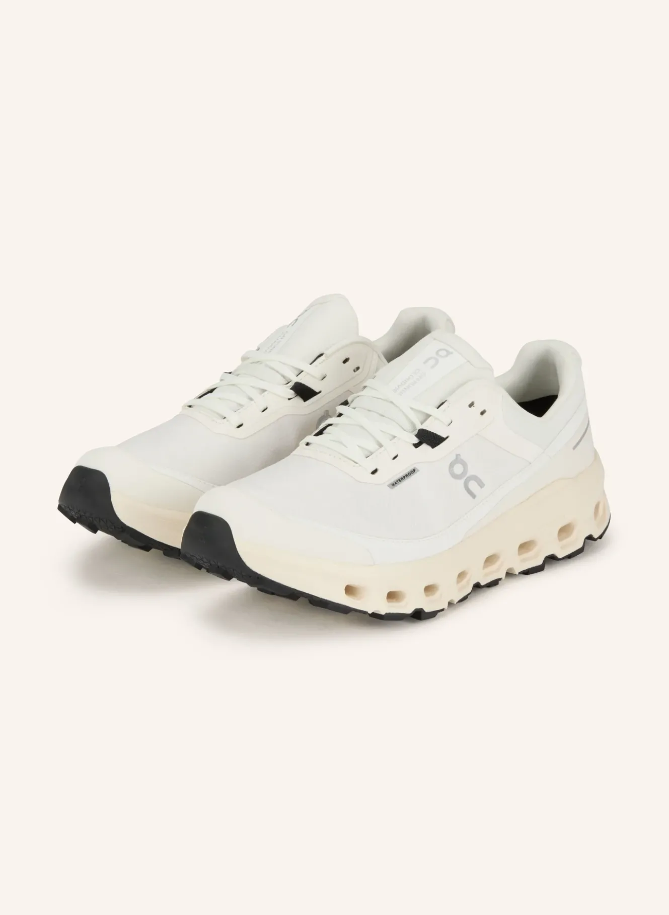 Trailrunning-Schuhe CLOUDVISTA 2 WATERPROOF