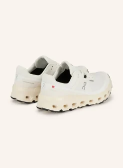 Trailrunning-Schuhe CLOUDVISTA 2 WATERPROOF