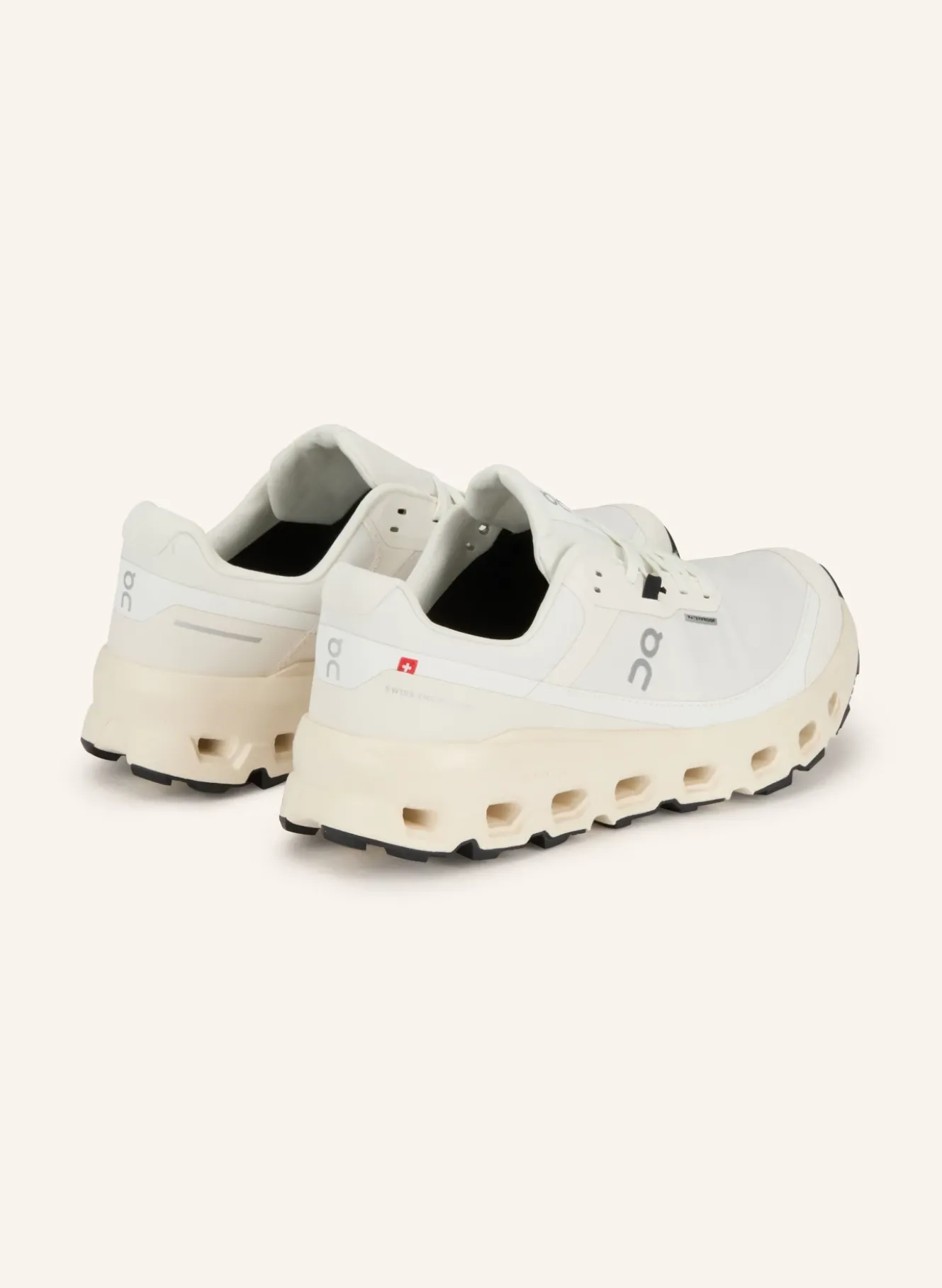 Trailrunning-Schuhe CLOUDVISTA 2 WATERPROOF