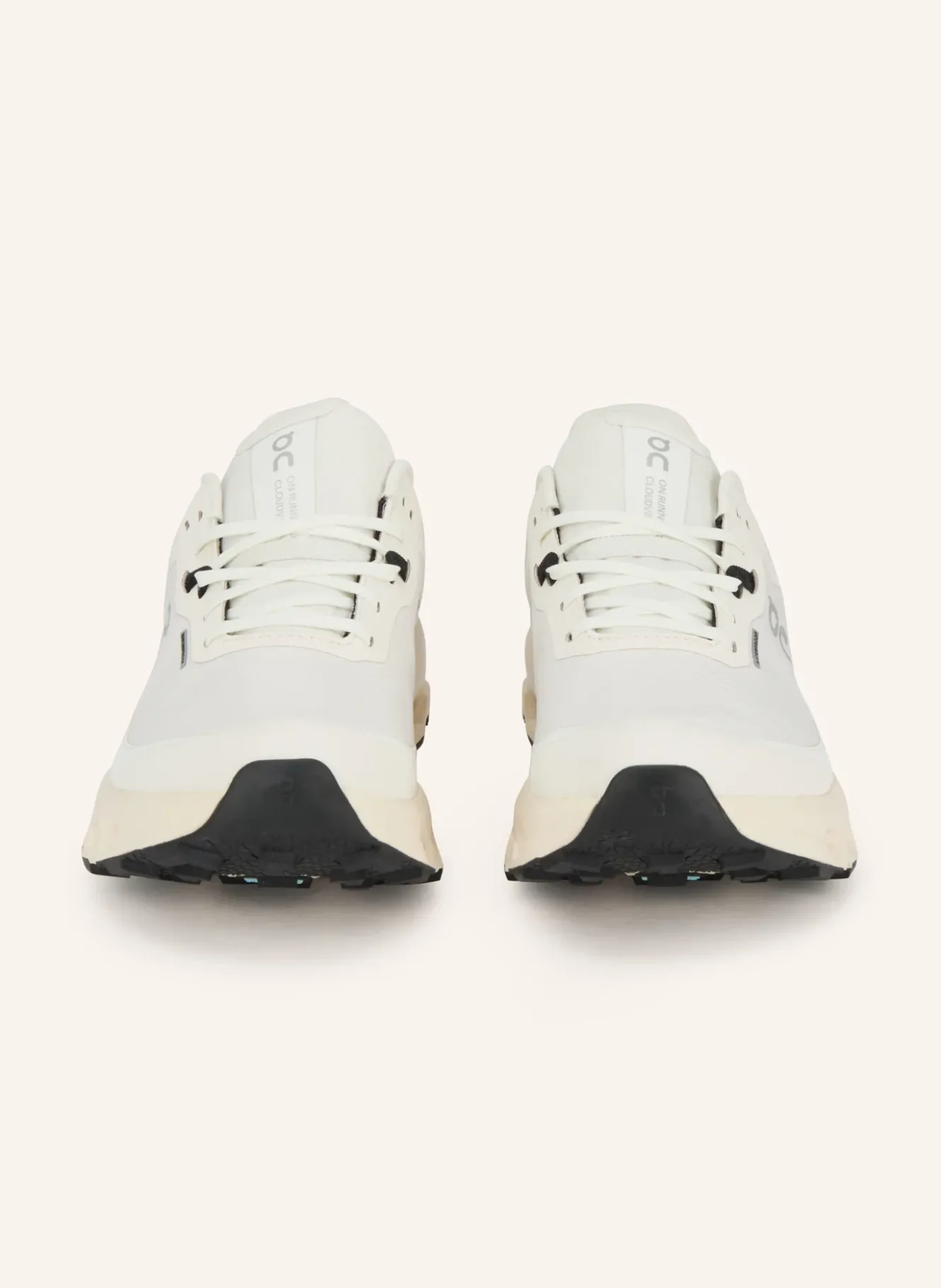 Trailrunning-Schuhe CLOUDVISTA 2 WATERPROOF