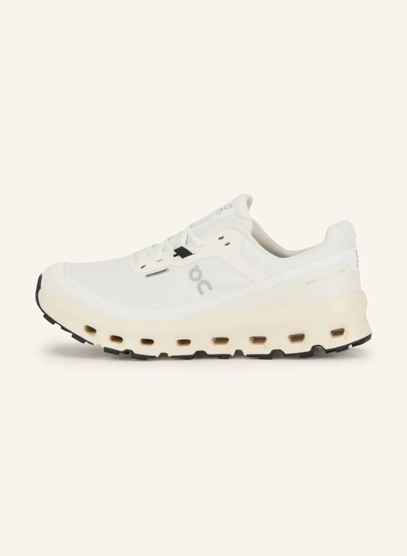 Trailrunning-Schuhe CLOUDVISTA 2 WATERPROOF