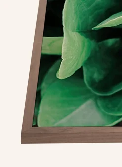 Wandbild GRÜNE FRISCHE PFLANZEN mit Rahmen