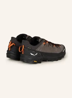 Wanderschuhe ALP TRAINER 2 GTX