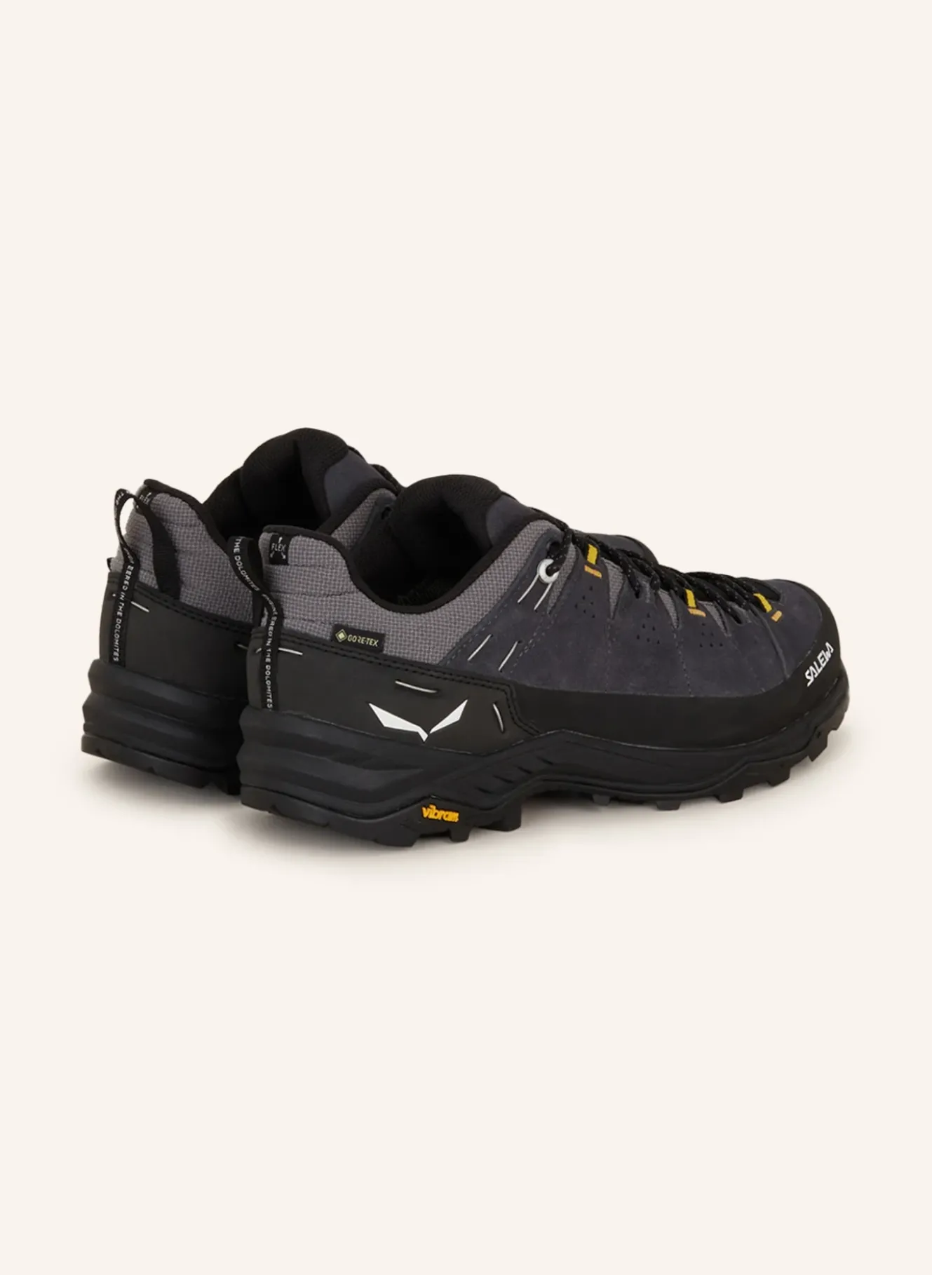 Wanderschuhe ALP TRAINER 2 GTX