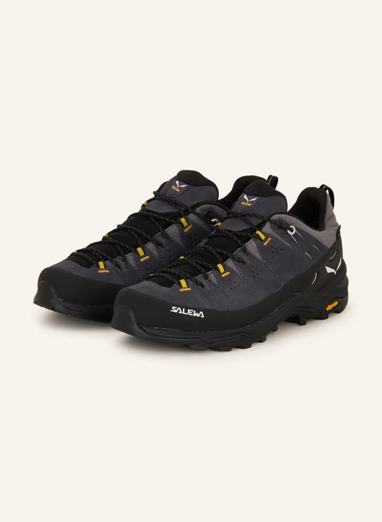 Wanderschuhe ALP TRAINER 2 GTX
