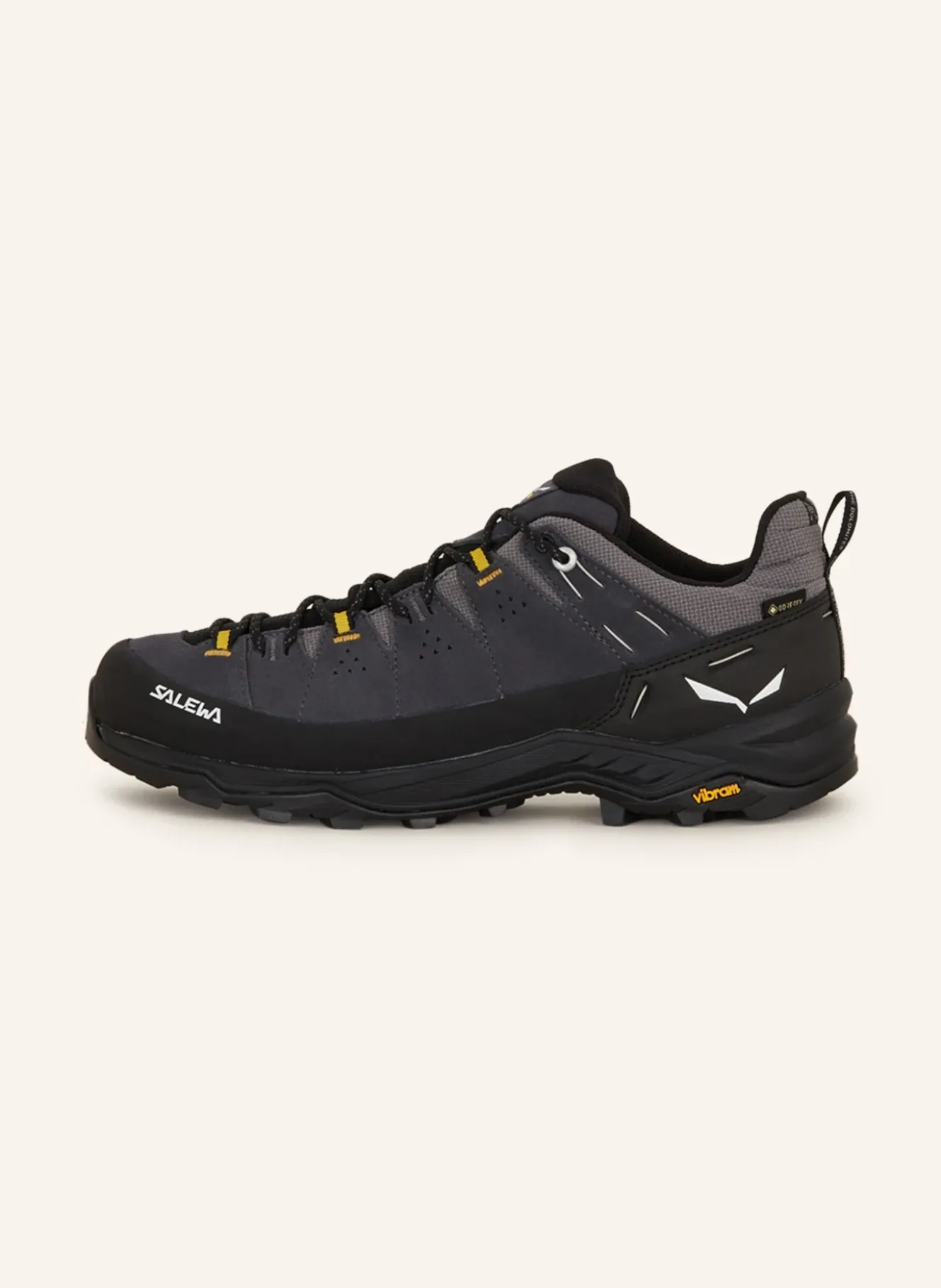 Wanderschuhe ALP TRAINER 2 GTX