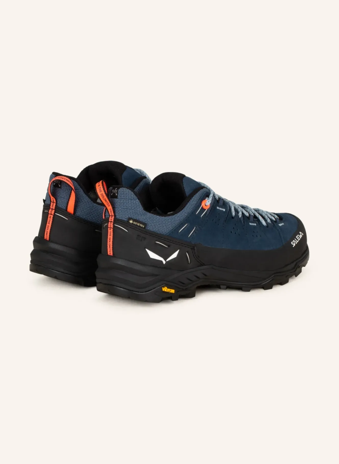 Wanderschuhe ALP TRAINER 2 GTX
