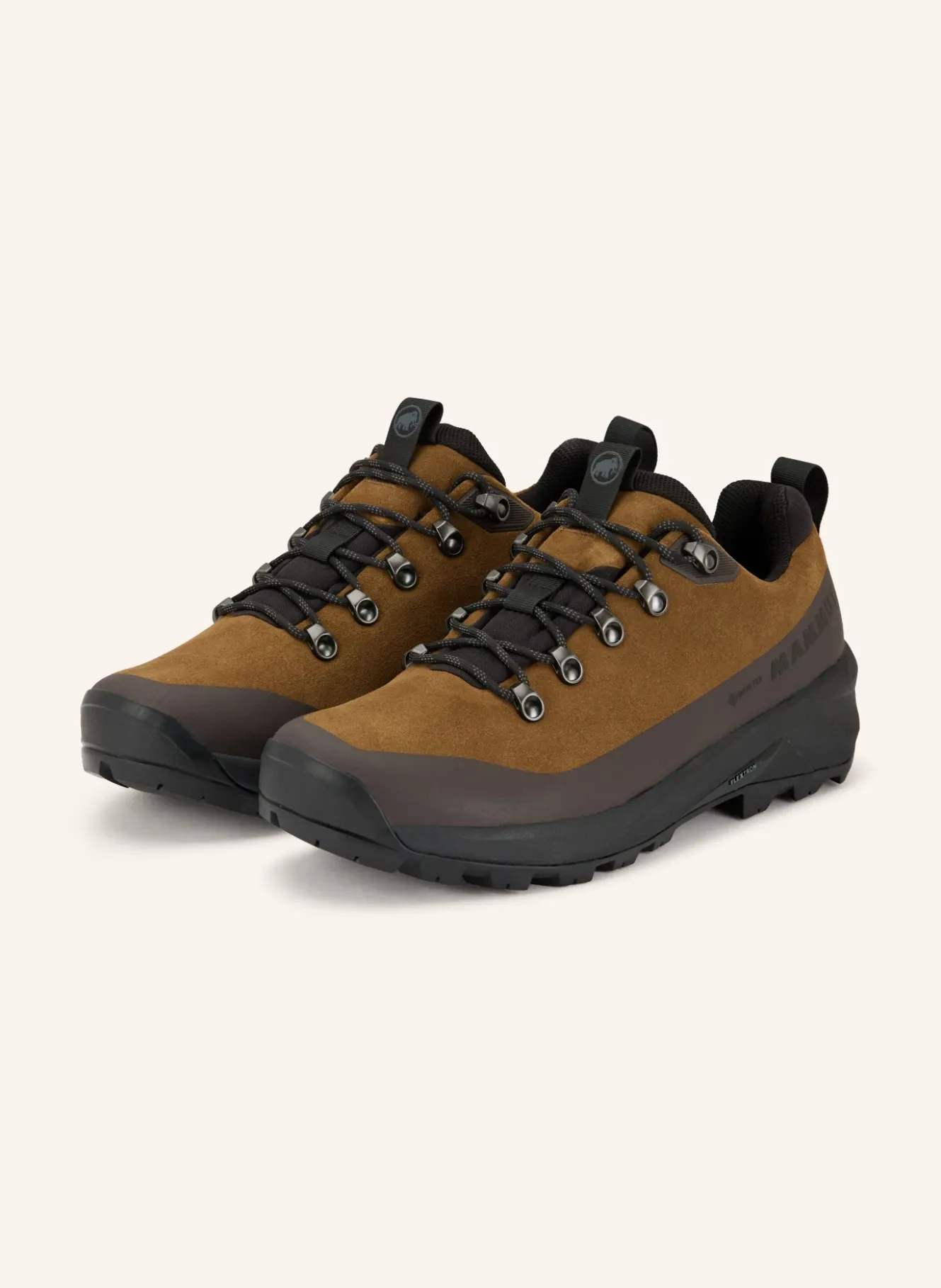Wanderschuhe DUCAN III LOW LTH GTX