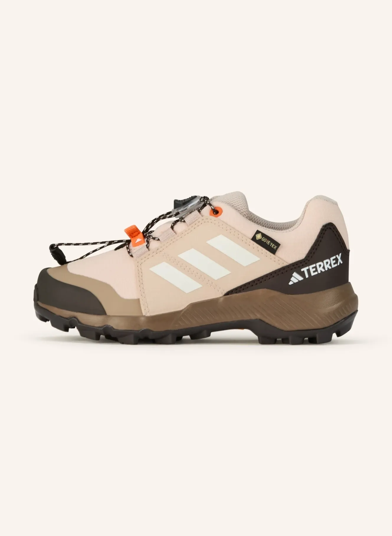 Wanderschuhe TERREX GTX