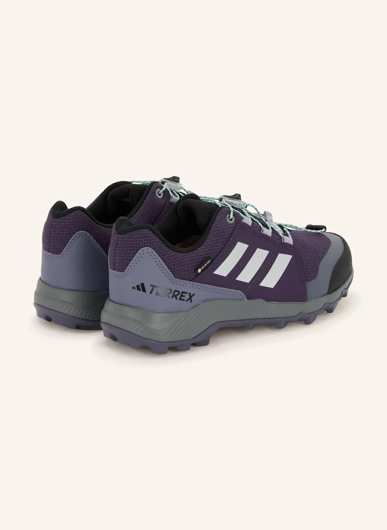 Wanderschuhe TERREX GTX
