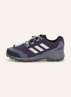 Wanderschuhe TERREX GTX