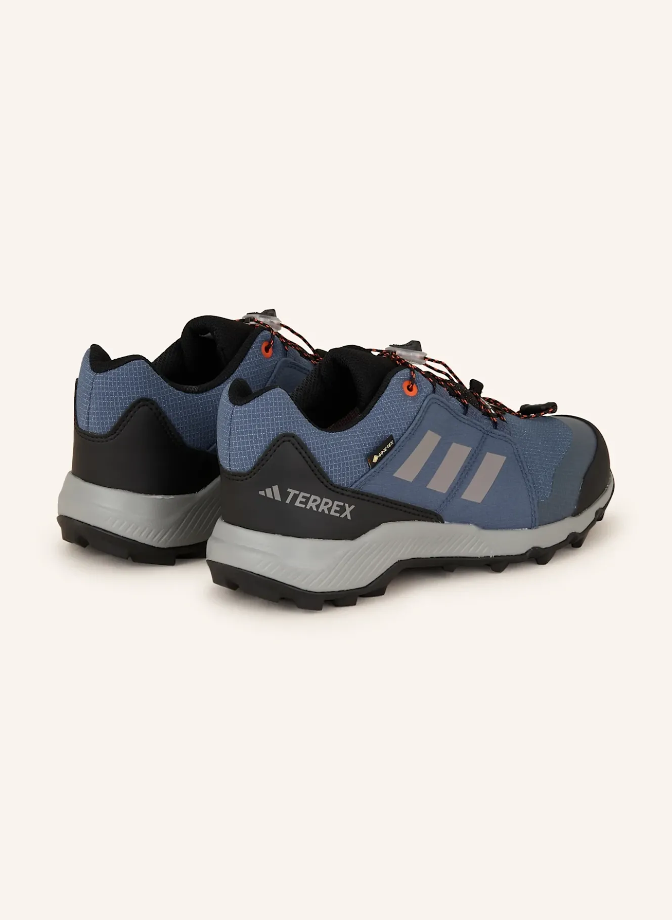 Wanderschuhe TERREX GTX