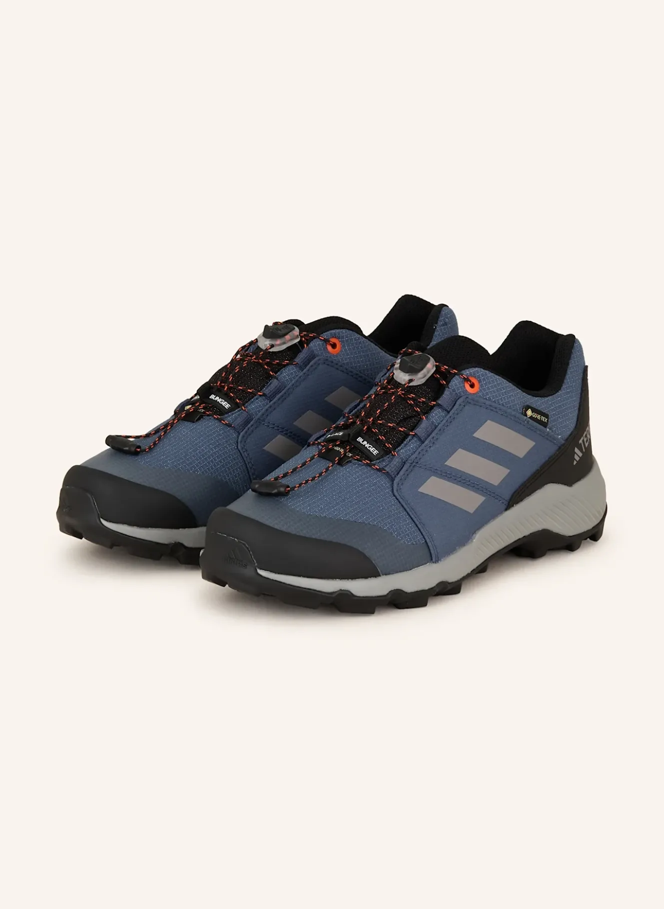 Wanderschuhe TERREX GTX