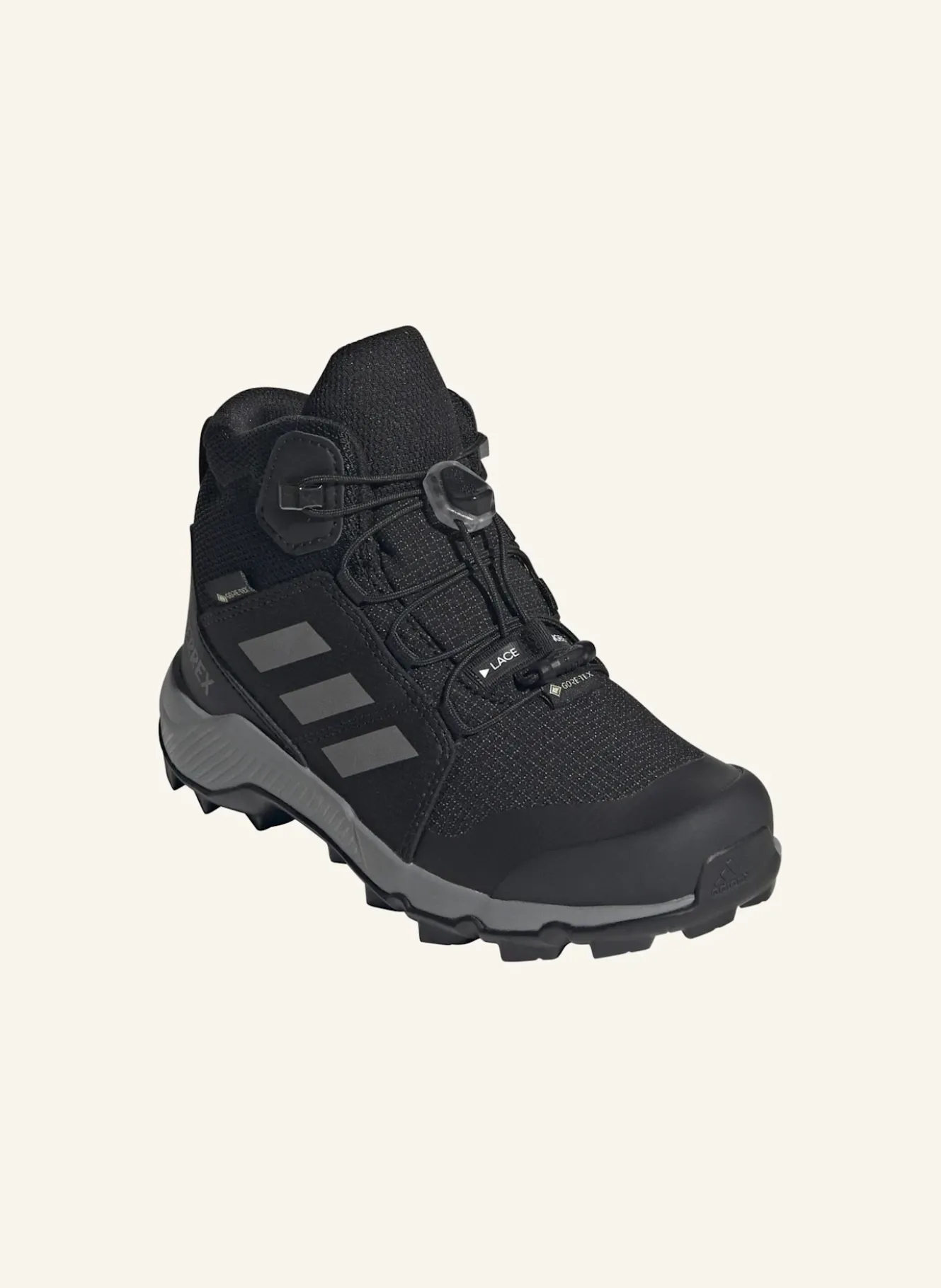 Wanderschuhe TERREX MID GTX