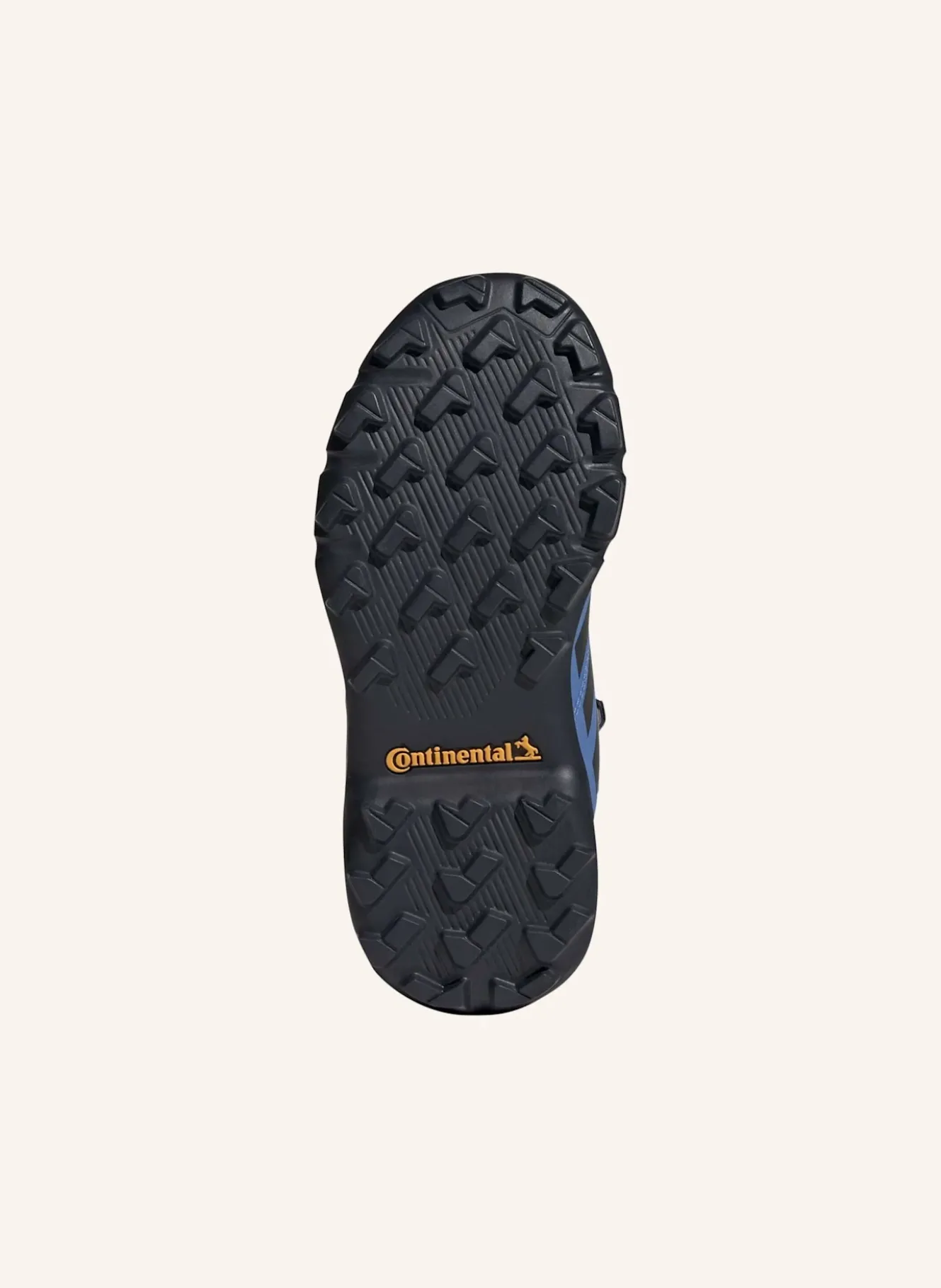 Wanderschuhe TERREX MID GTX