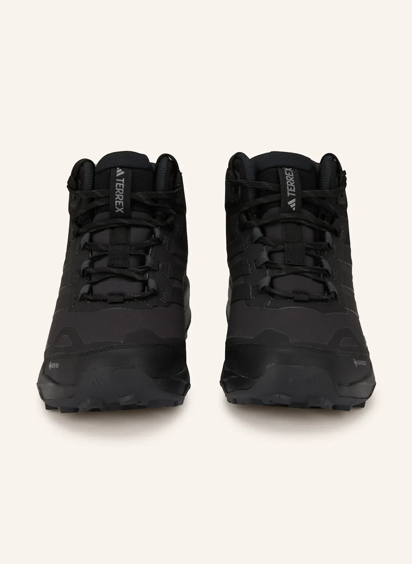 Wanderschuhe TERREX SKYCHASER AX5 MID GTX