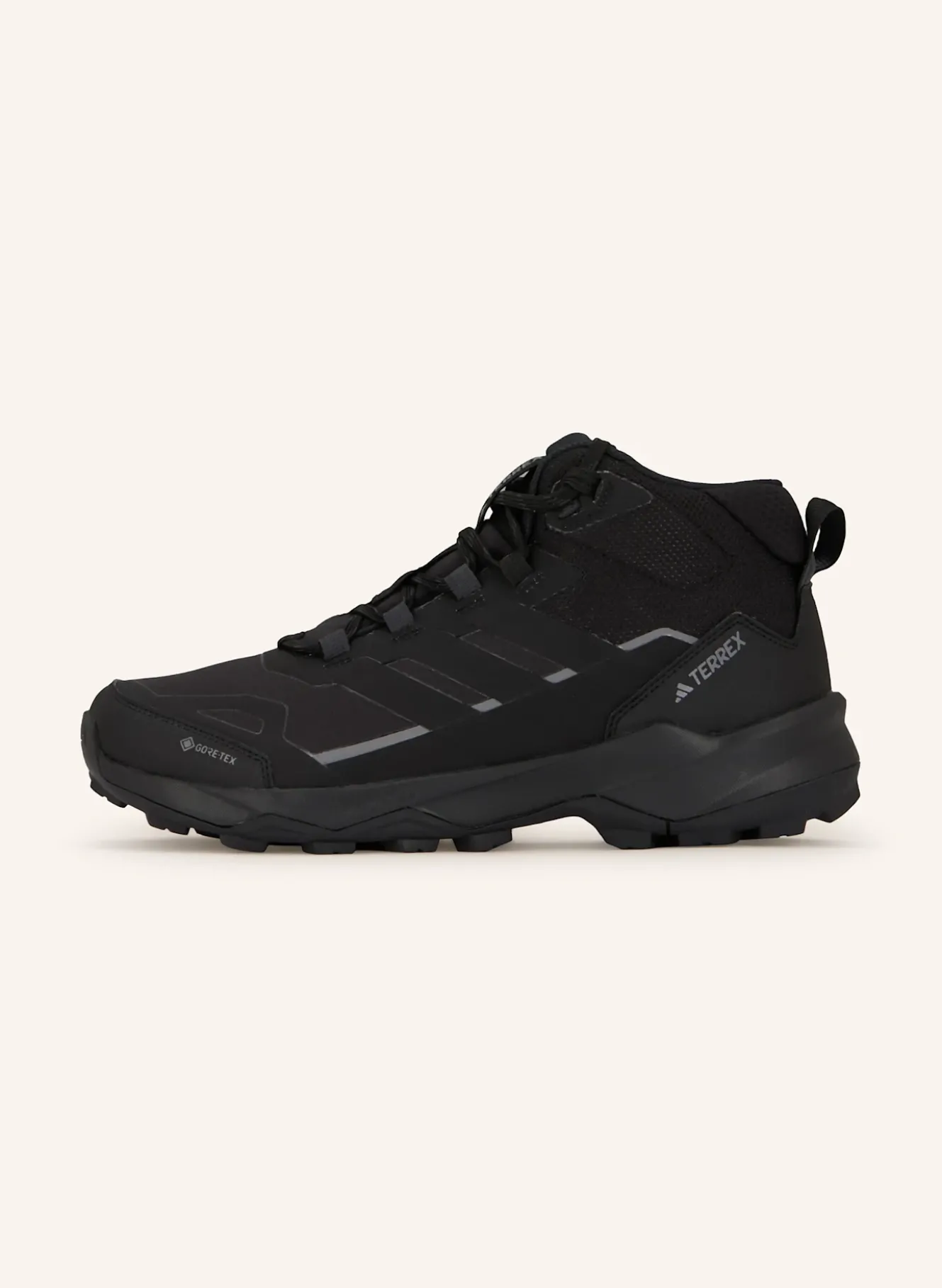 Wanderschuhe TERREX SKYCHASER AX5 MID GTX