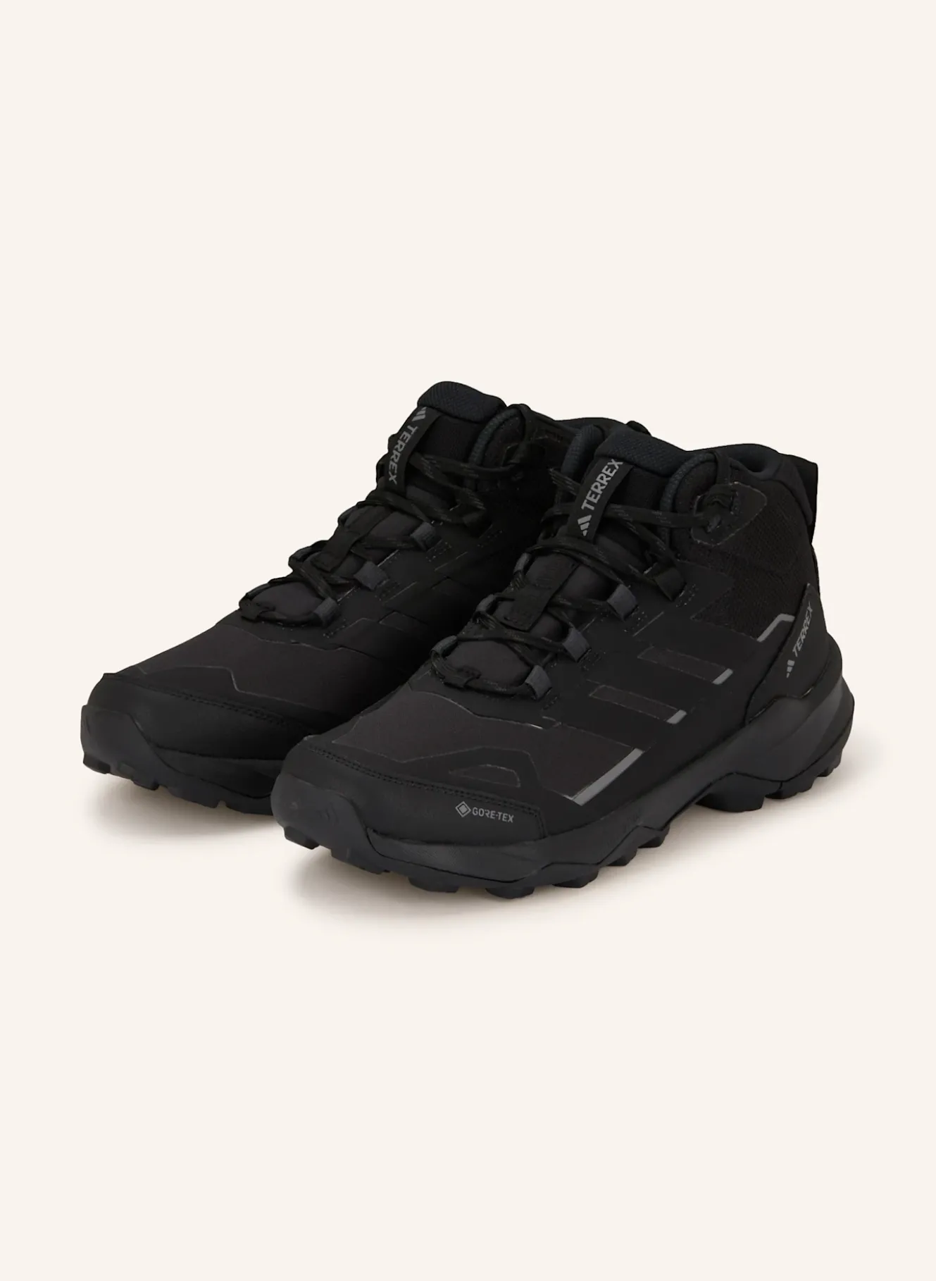 Wanderschuhe TERREX SKYCHASER AX5 MID GTX
