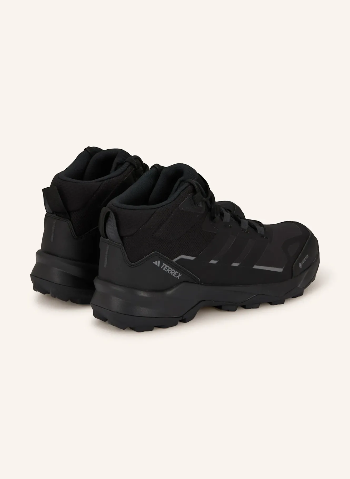 Wanderschuhe TERREX SKYCHASER AX5 MID GTX