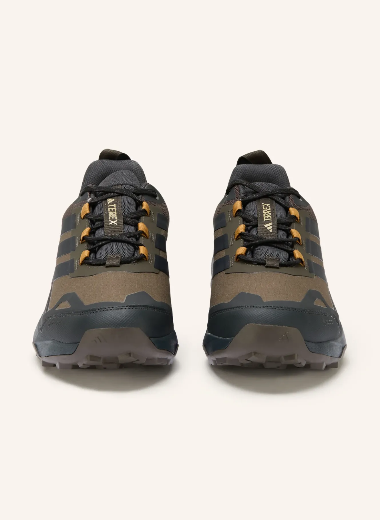 Wanderschuhe TERREX SKYCHASER AX5 GTX