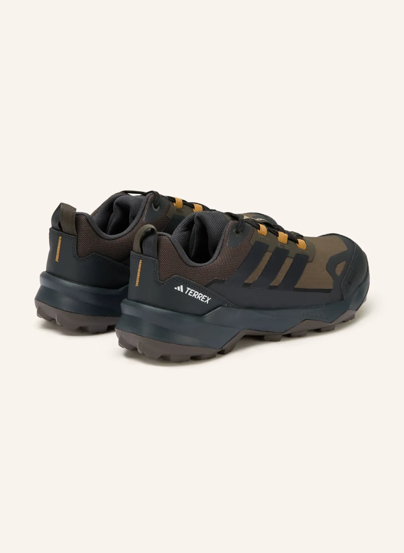 Wanderschuhe TERREX SKYCHASER AX5 GTX