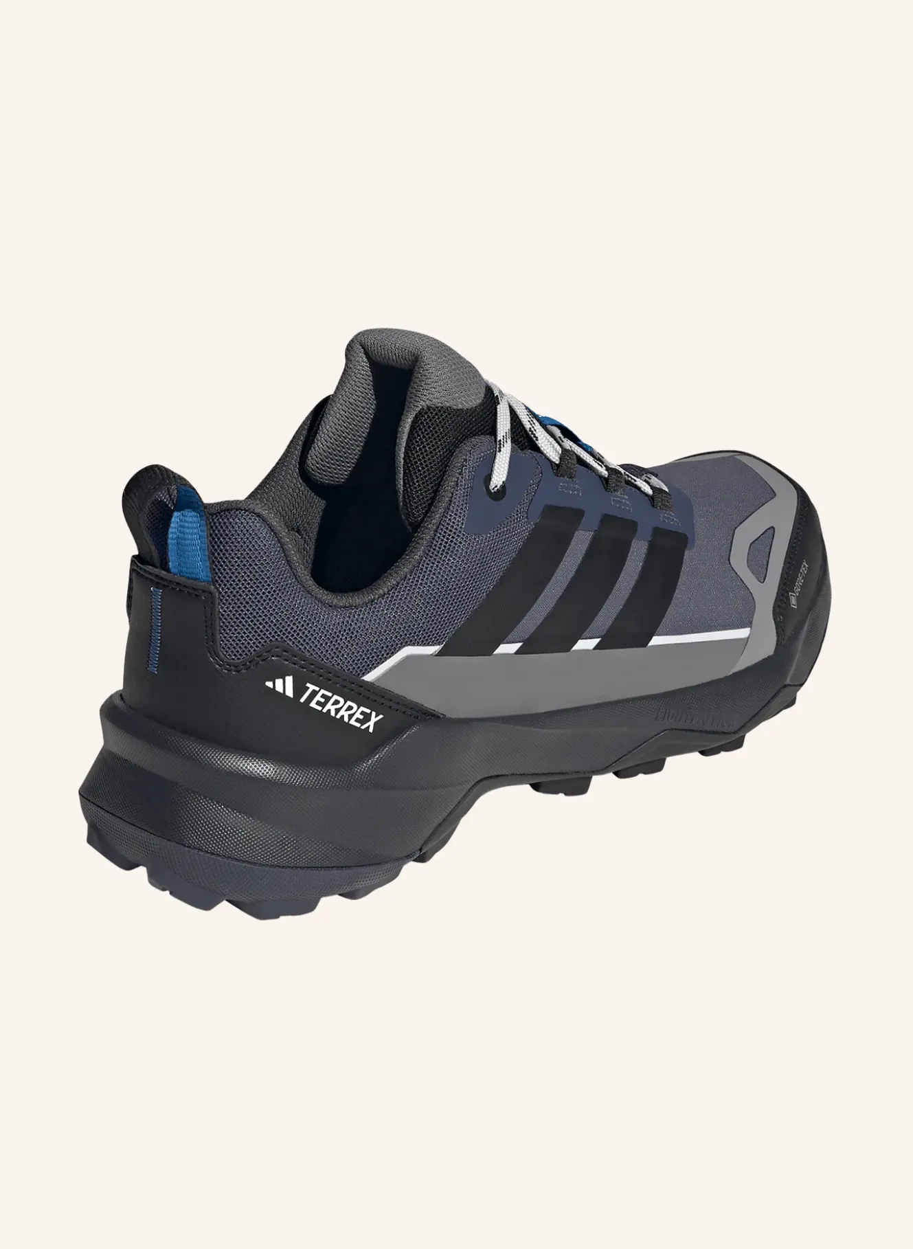 Wanderschuhe TERREX SKYCHASER AX5 GTX