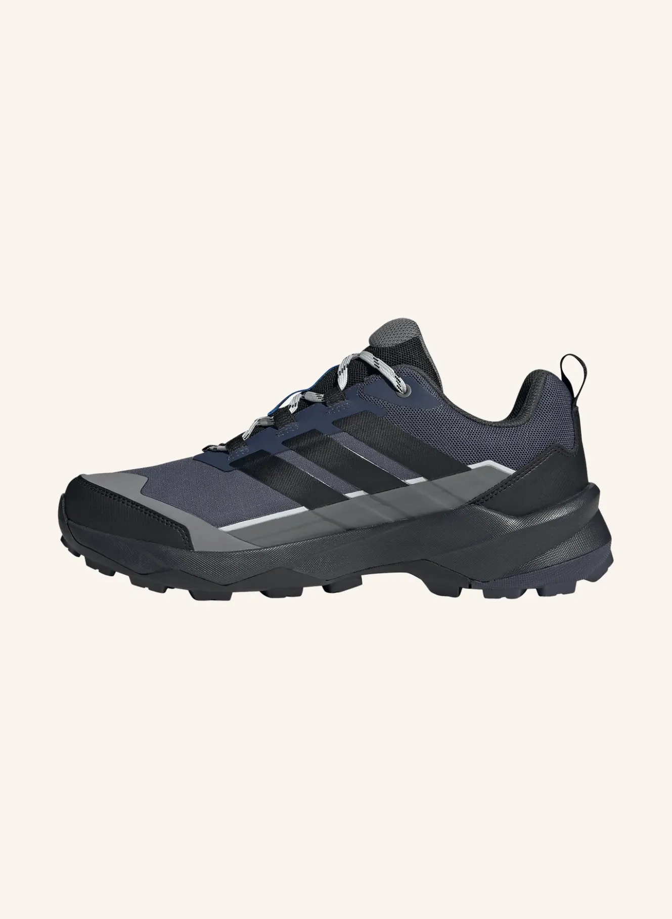 Wanderschuhe TERREX SKYCHASER AX5 GTX