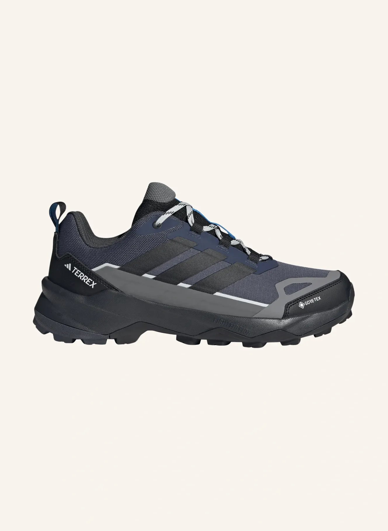 Wanderschuhe TERREX SKYCHASER AX5 GTX